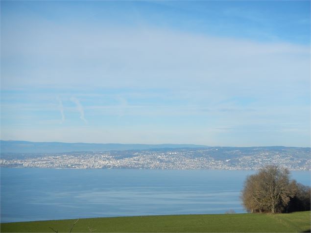 Lac Léman - Dominique SAMPER