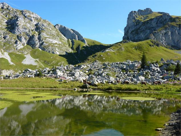 Lac de la Case - ot bernex pierre gillet