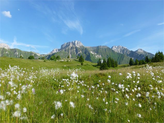 Plateau de Cenise - CAMT