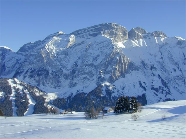 Plateau de Cenise - CAMT