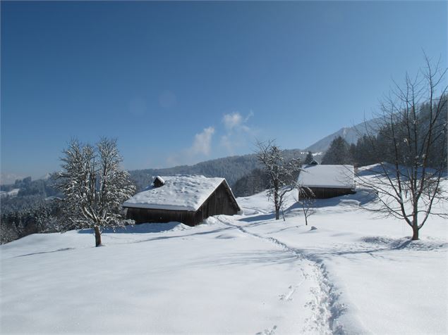 Plateau de Cenise - CAMT