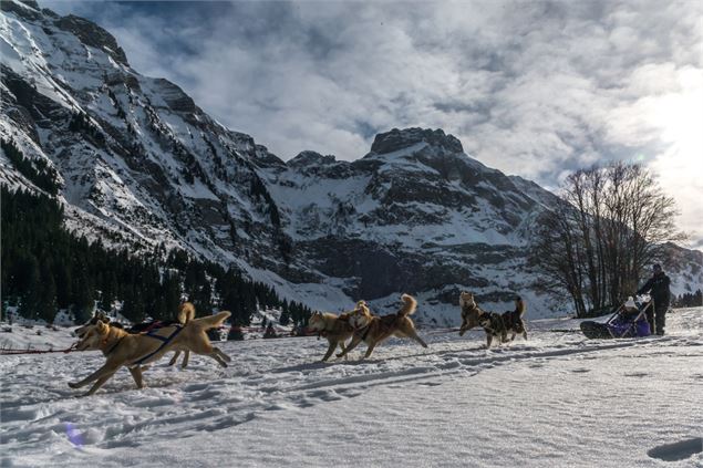 Plateau de Cenise - CAMT