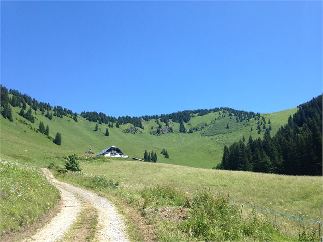 Alpage de Barbossine - GAEC Barbossine