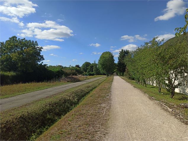 l'ancienne voie du tram côté St Sorlin - K.Tranchina