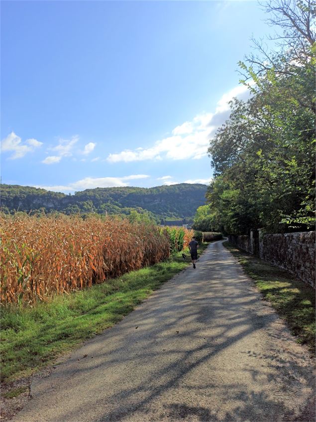 chemin de la Durandière - K.Tranchina