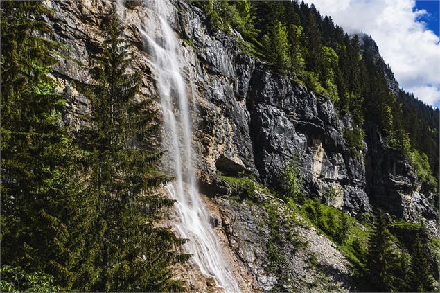 Cascade de l'Essert - L.Meyer - Châtel