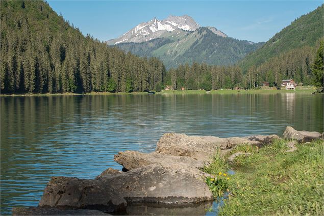 Randonnée au Lac de Montriond - Yvan Tisseyre/OT Vallée d'Aulps