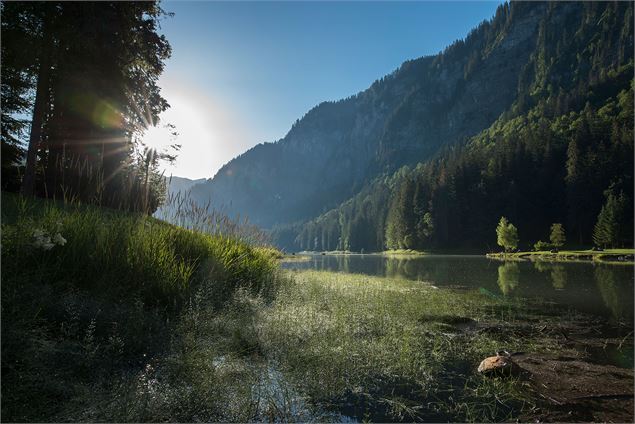 Lac de Montriond - Yvan Tisseyre/OT Vallée d'Aulps