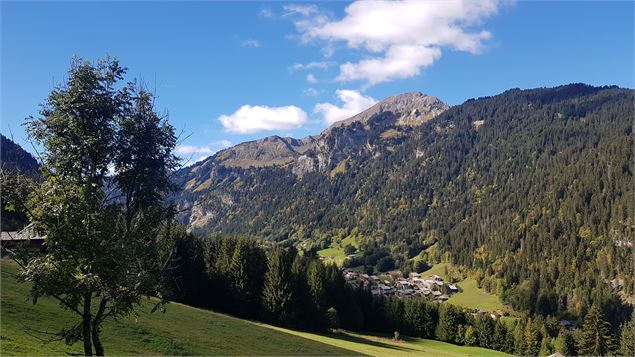 Paysage Châtel - CD74