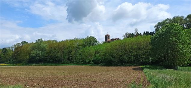 Sentier Chazey Leyment - V. Buguet