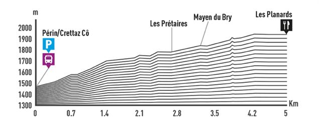 Périn - Les Planards