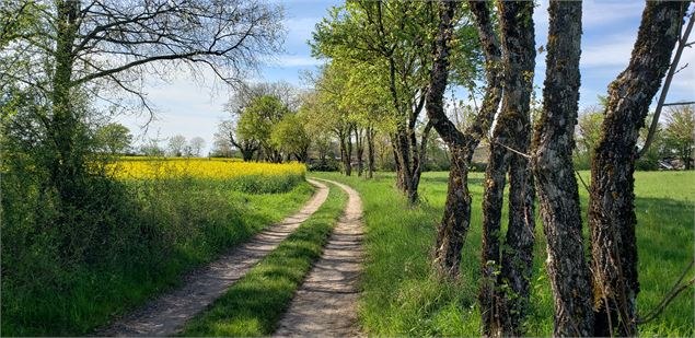 sentier des lavandières - Sabrina Megani