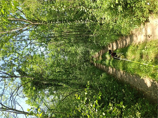 On peut se promener avec son chien - Sabrina Megani