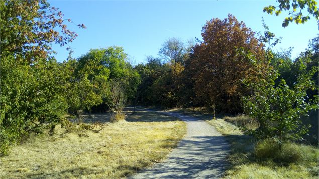 parc arboré St-Vulbas - S.Megani