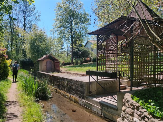 jolie balade de l'arboretum de St-Vulbas - Sabrina Megani