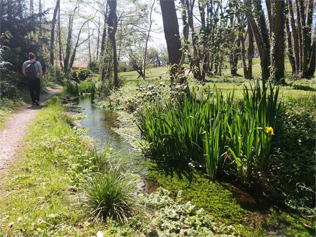 ruisseau sur le chemin de l'arboretum - Sabrina Megani