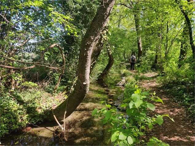 l'arboretum de Saint Vulbas - Sabrina Megani