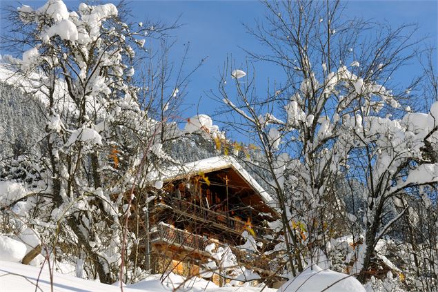 Chalet à Châtel - JM Gouédard