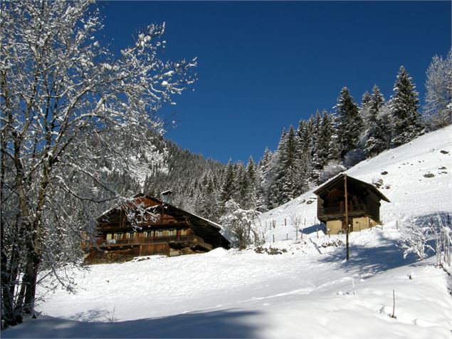 Chalet à Châtel - JM Gouédard