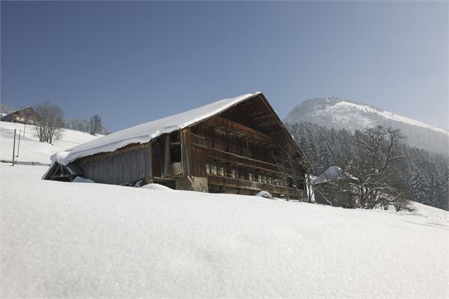 Chalet à Châtel - JM Gouédard