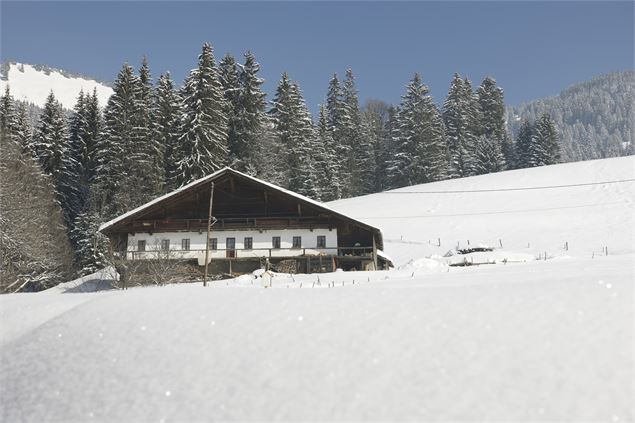 Chalet à Châtel - JM Gouédard