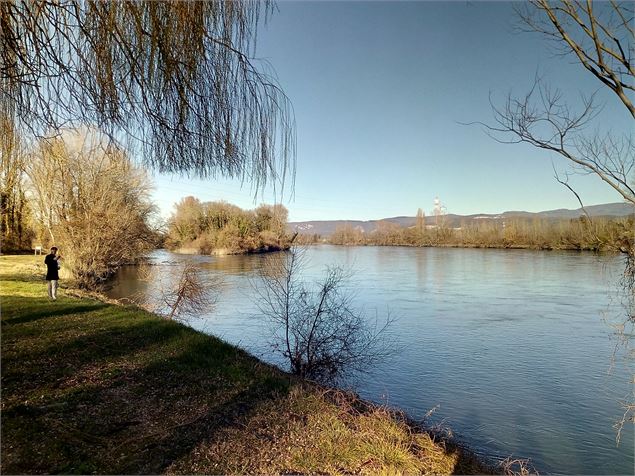 le Rhône à St Vulbas - Ketty Tranchina