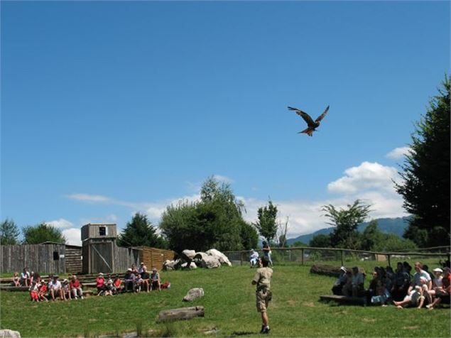 Parc des Aigles du leman - Les aigles du Léman