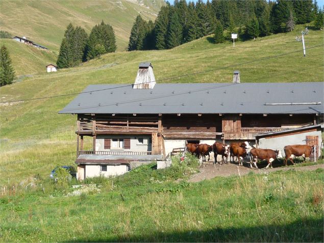 Tour du Mont Lachat - C.Cattin-AlpcatMedias-Le-Grand-Bornand.