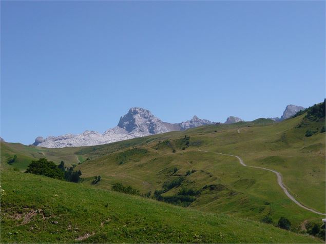 Tour du Mont Lachat - C.Cattin-AlpcatMedias-Le-Grand-Bornand.