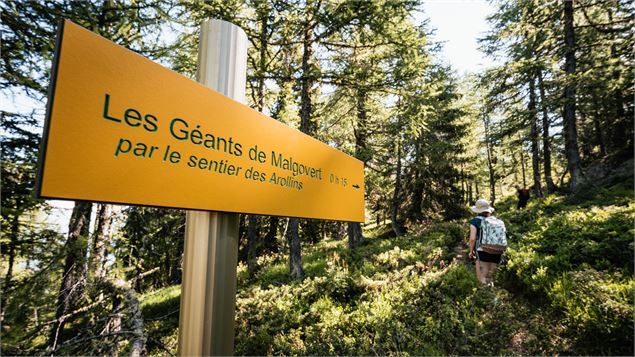 Sentier des Arollins - Y. ALLEGRE