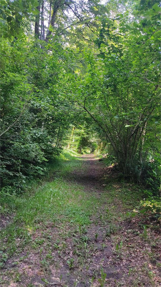 le long du sentier - Lina MARTIN