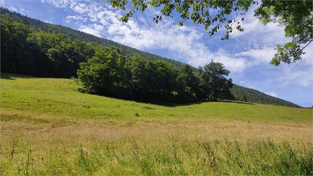 le long du sentier - Lina MARTIN