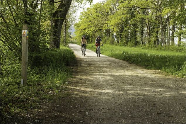 VTT tour du plateau de Gavot - Florian Legrand