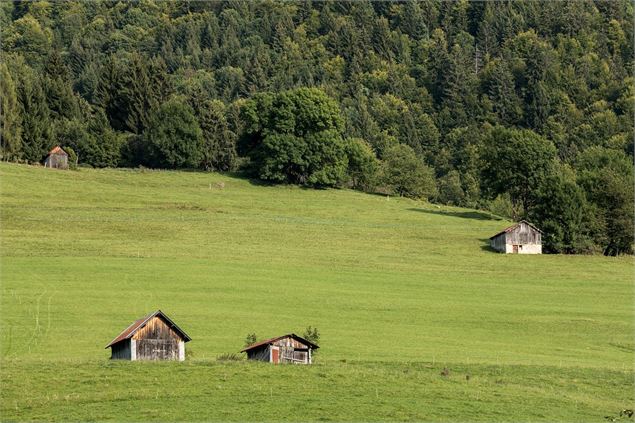 Paysage et village de Doucy-en-Bauges - ©SavoieMontBlanc-Lansard