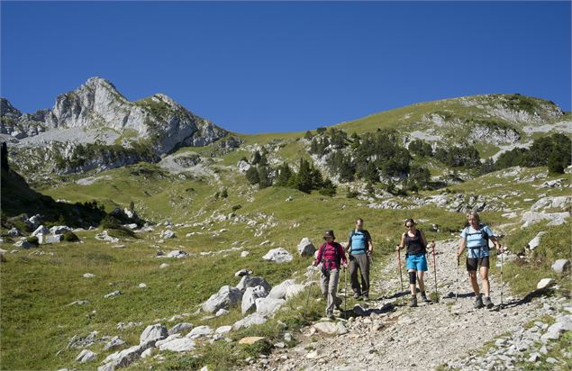 Petite Sambuy - SavoieMontBlanc-Lansard