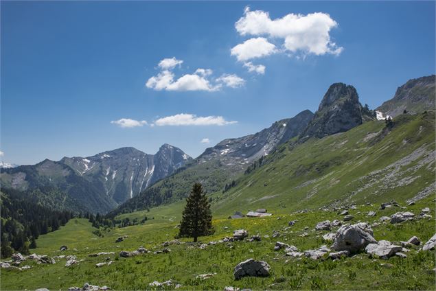 Col d'Orgeval - SavoieMontBlanc-Lansard