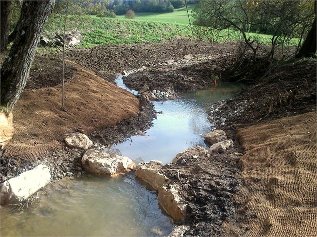 Restauration du cours d'eau Marais du Nécuidet - Frédéric Biamino CEN