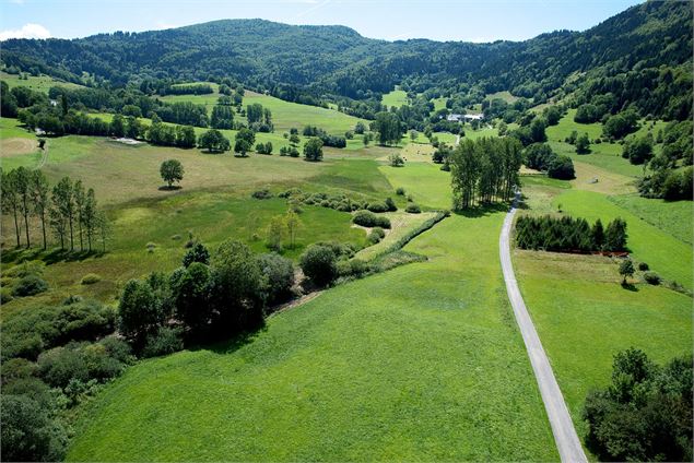 Marais du Nécuidet - Frédéric Biamino CEN