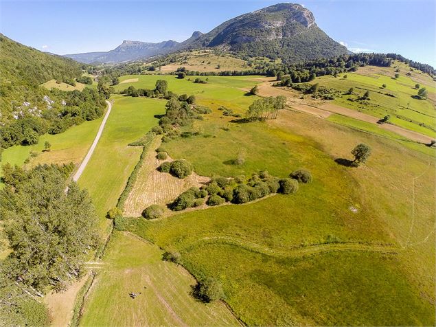 Le marais de Necuidet vue aérienne - Frédéric Biamino CEN