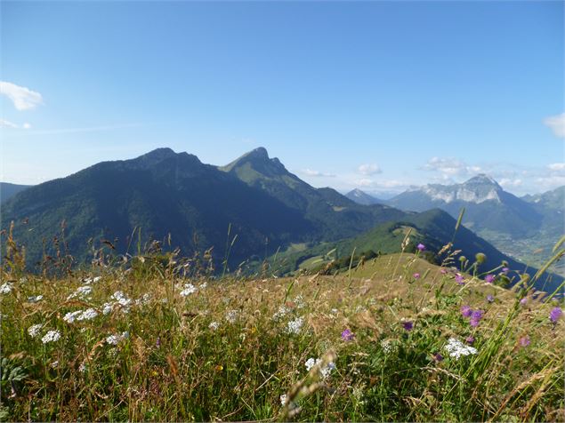 le Mont Colombier depuis le Mont Pelat - OT Aillons-Margériaz