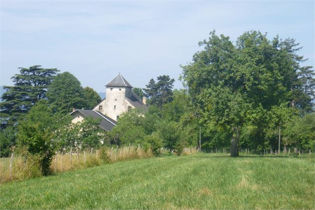 Château de Salins - Chambéry métropole