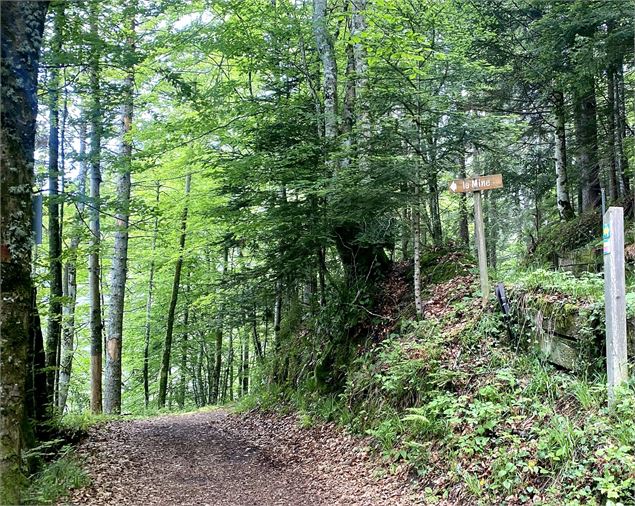 Croisement chemin de la Mine - Manon OTSLA