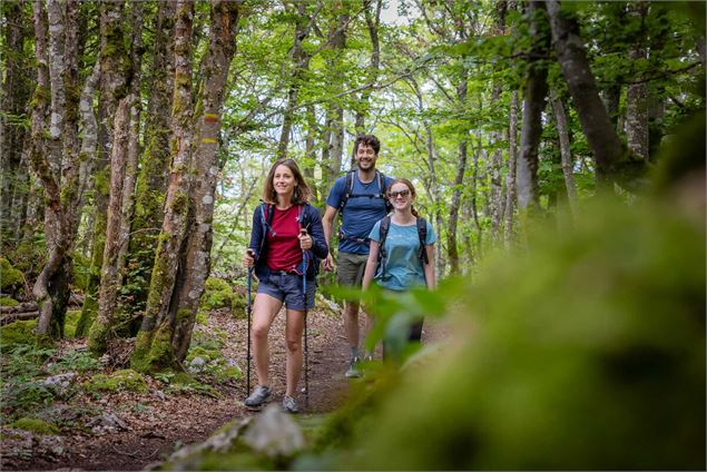 Dans la forêt - Alexandre Gendron - ag-photo.fr - Grand Chambéry Alpes Tourisme