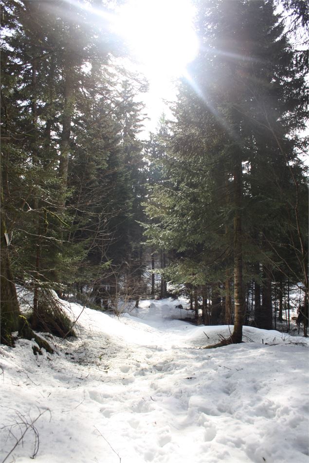 Randonnée col de l'Epine - Ville de La Motte-Servolex