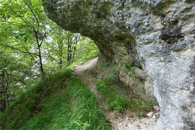 Sentier de Château Richard - Anthony Perrin