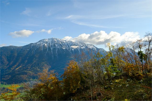 Vue sur la dent de Cons - Camille La Brequa