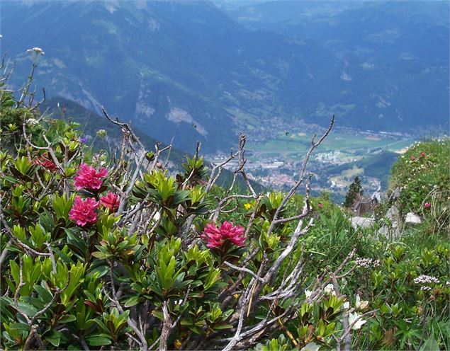 Vue du sentier botanique - La Sambuy Faverges Seythenex