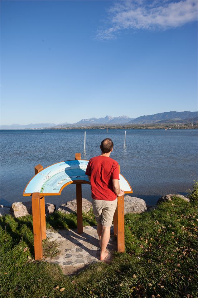 Table d'orientation : Les Préalpes chablaisiennes, la plage de sable fin et quelques poissons du lac