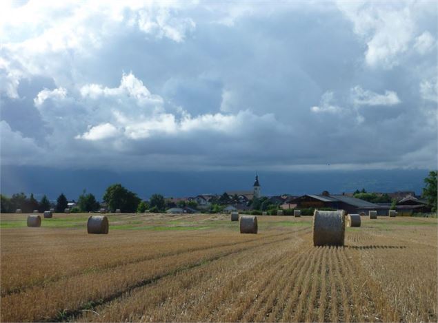 Village de Messery - Mairie de Messery / Virginie Rossat