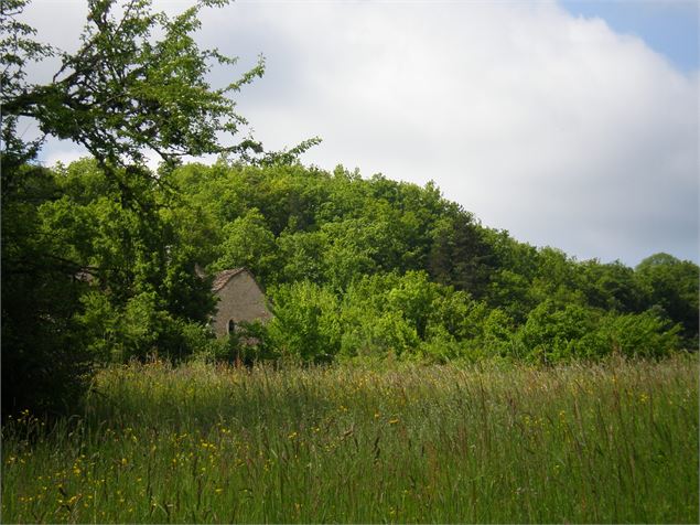 L'église de St Maurice d'Echazeaux dans son écrin de verdure - Romain PIQUET